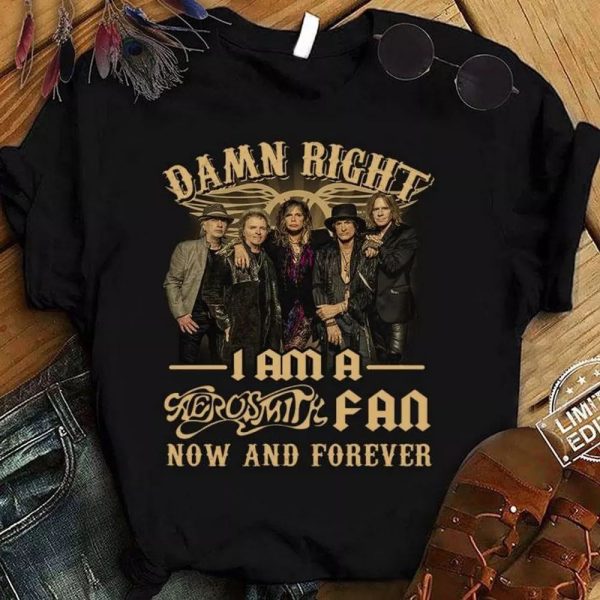 Aerosmith fan