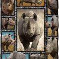 Rhinoceros Blanket 1