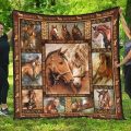 Horse Blanket 2