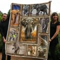 Elephants Blanket 3