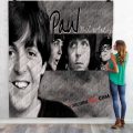 Paul McCartney Blanket 4