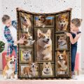 Corgi Blanket 5